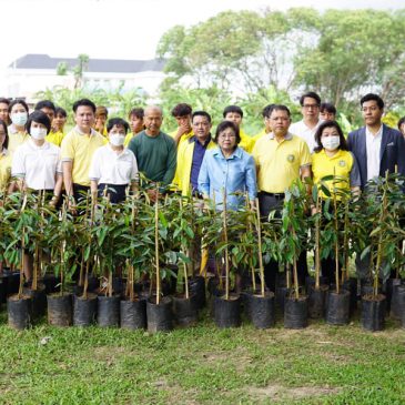 Activities to awaken the original durian species of Nonthaburi Province